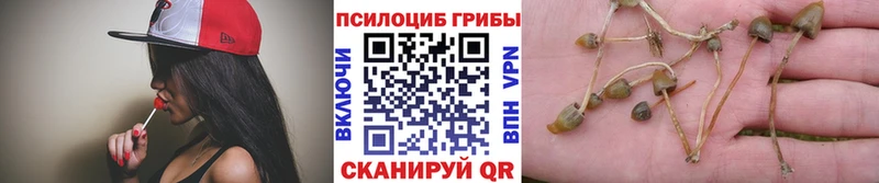 Галлюциногенные грибы мицелий  Ржев 