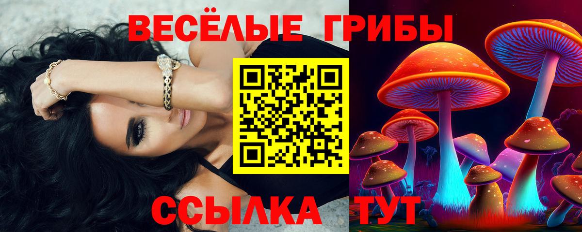 Ржев  даркнет сайт  Вход с VPN  Галлюциногенные грибы прущие грибы  Галлюциногенные грибы мицелий 